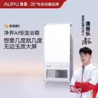 AUPU-奥普-浴霸-NT30