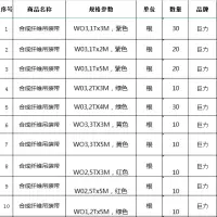 巨力合成纤维吊装带一批(共10项)