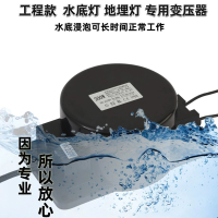 远波 户外LED地埋水底灯防水环形变压器 500W-AC120V