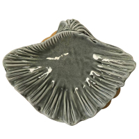 雅顺扇形贝壳组合餐盘