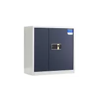 正斌保密柜财务档案柜文件柜办公室资料储物柜保险柜电子密码国保锁矮柜白灰-指纹密码锁
