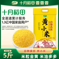 十月稻田黄小米真空5斤装煮粥米油多小米粥杂粮小黄米真空锁鲜