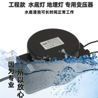远波 户外LED地埋水底灯防水环形变压器 500W-AC120V