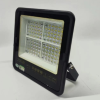 LED投光灯 50W 单位:个 货期15天