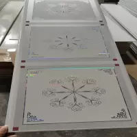 FPBQ PVC扣板 大雪花 一平价 长条塑料吊顶集成屋顶装饰材料护墙板防水板