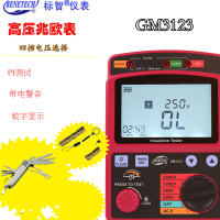 标智 绝缘电阻测试仪GM3125标配(500V/1000V/2500V) 单位:个(货期两周左右)