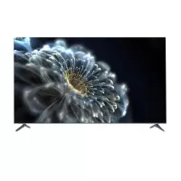 长虹/CHANGHONG 55D59H 超高清(4k) 55 LED 有线平板电视银色