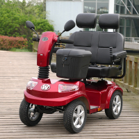 威之群 电动车双人座 4034