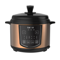 格兰仕(Galanz) 电压力锅5L大容量全自动智能预约高压锅电饭煲多功能高压锅饭煲单胆不粘易洁 YB501TQ
