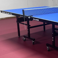 尊享版移动球台(含五星拍、球、网架)
