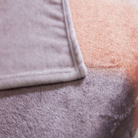 梦洁家纺 毯子tg 亲肤法兰绒毯:致然 颜色