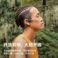 DTOTC OpenRun Pro S810骨传导蓝牙无线开放式耳机耳麦 不入耳式运动 高音质 骑士黑