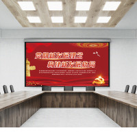 海康威视 室内P1.25 8.5平COB封装高清无缝拼接大会议屏