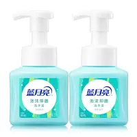 蓝月亮 鲜果薄荷 泡沫抑菌洗手液255ml×2