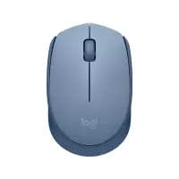 罗技(Logitech)M172 线鼠标 办公鼠标 左右手适用 双侧防滑纹理 带无线2.4G接收器 品月蓝