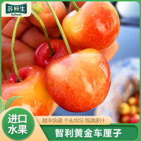 [苏鲜生]顺丰空运 智利进口黄金车厘子 净重4斤 JJ级 应季车厘子 新鲜水果 酸甜可口 西沛
