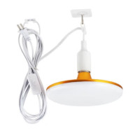 穗之语 灯泡电源线 2.1m