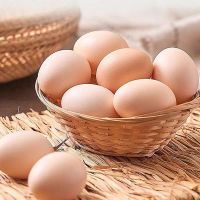 苗佳新正宗农家散养土鸡蛋生态高品质土鸡蛋新鲜谷饲鲜蛋