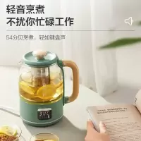 小熊 YSH-C08T1 0.8L 养生壶 (台) 绿