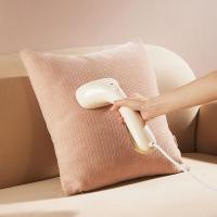 小熊(Bear)挂烫机家用熨斗熨烫机手持挂烫机蒸汽熨斗小型电熨斗蒸汽挂烫机烫熨机 淡黄色 GTJ-W10N1