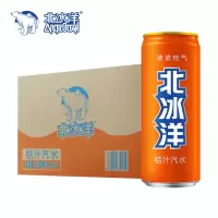 听装北冰洋汽水(桔汁)330ml*24