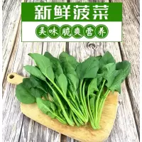 新鲜美味菠菜