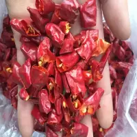 干辣椒段