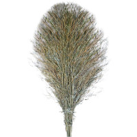 瑞德竹柄大扫把 环卫竹扫把 10把装