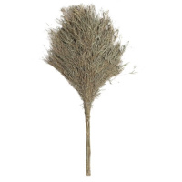 TENDZONE 手工环卫大竹扫把