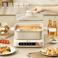 艾青春(AIYOUth)6L分体电火锅(鸳鸯锅)AI-HG06