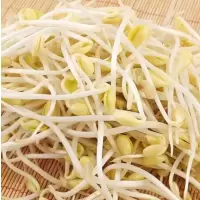 绿豆芽kg