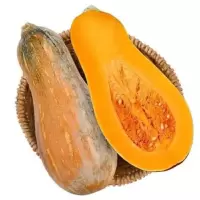 老南瓜kg