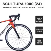 MERIDA美利达 24款 斯特拉1000D(24)SCULTURA(斯特拉)全能型跑车 22速 公路车
