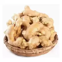 新鲜生姜一斤