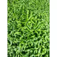 螺丝椒kg