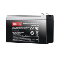 蓄电池 山特/SANTAK C12-100