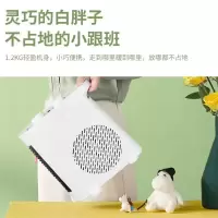 艾美特AIRMATE  WT20-X1 速热电暖器白色