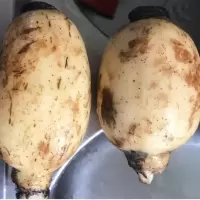 新鲜莲藕