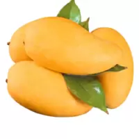 芒果 包