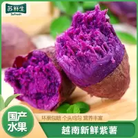 [苏鲜生]越南进口新鲜紫薯 地瓜蔬菜 软糯香甜 5斤 小果 单果40-100g以上 软糯香甜
