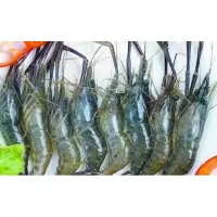 青虾(53.4元/kg*5.1kg)