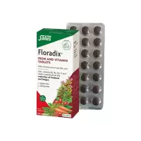 德国版莎露斯Floradix红铁元片剂84粒
