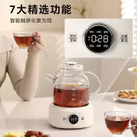 小浣熊养生壶迷你煮茶壶煮茶器办公室家用养生烧水壶玻璃煮水壶电热水壶滤筒款