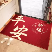 入户门地垫进门脚垫2025新款大门口室内家用可裁剪耐脏玄关地毯
