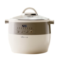 小熊电炖锅4.5L大容量煲汤煮粥陶瓷电砂锅DDZ-B45B2