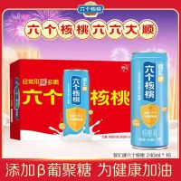 六个核桃精典型核桃礼盒240ml*12罐植物蛋白饮料