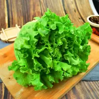 生菜( 新鲜)