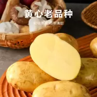 土豆( 新鲜)