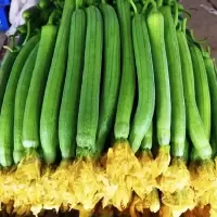 黄瓜( 新鲜)