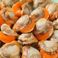 扇贝肉一批(87.2元/kg*4.5kg)